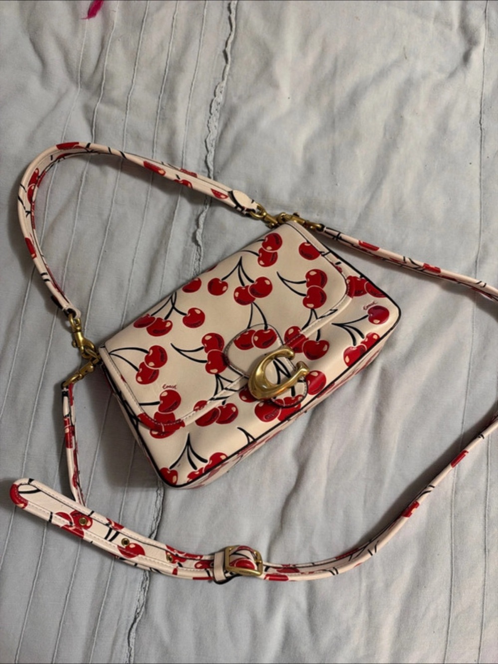 Soft Tabby Shoulder Bag with Cherry Print